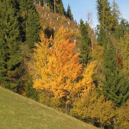 Haus Dekorso