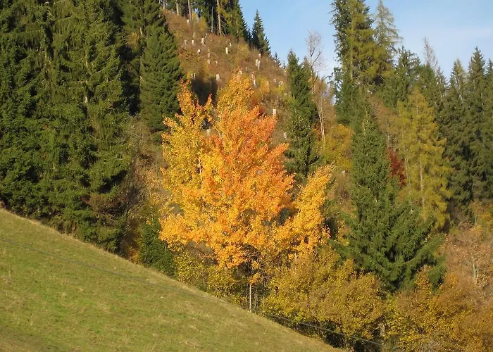 Haus Dekorso